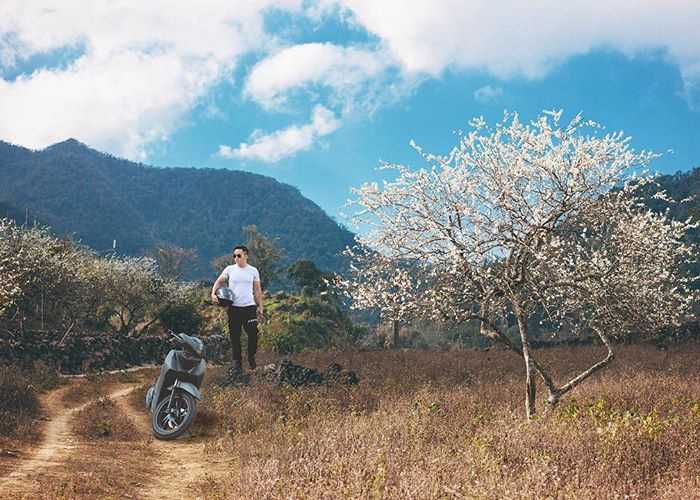 du lịch Mộc Châu mùa hoa mận