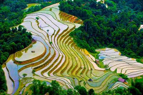 Mùa nước đổ về trên Hoàng Su Phì Hà Giang - Những bậc thang lấp lánh sắc màu