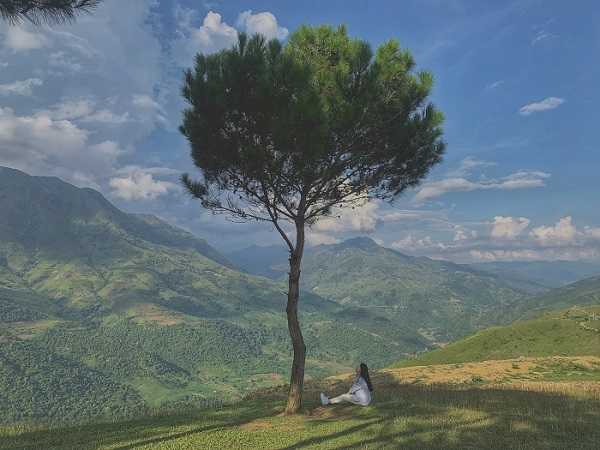 Pu Nhi Farm Bắc Yên