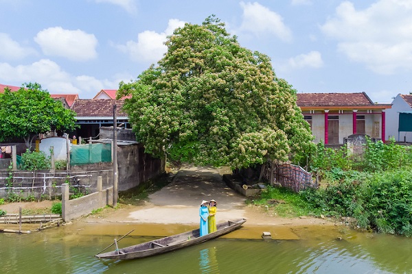 Mùa hoa bún bên bến sông quê – một góc trời gây thương nhớ