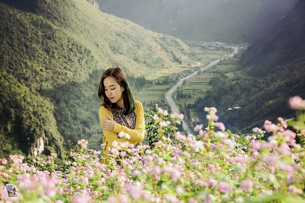 Tháng 10 này bạn có hẹn với mùa hoa tam giác mạch Hà Giang