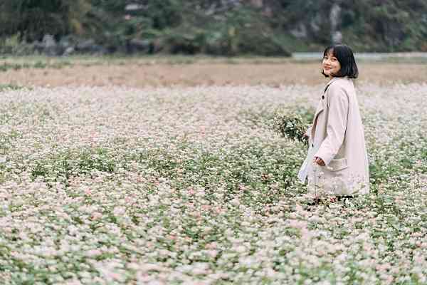 Tháng 10 này bạn có hẹn với mùa hoa tam giác mạch Hà Giang